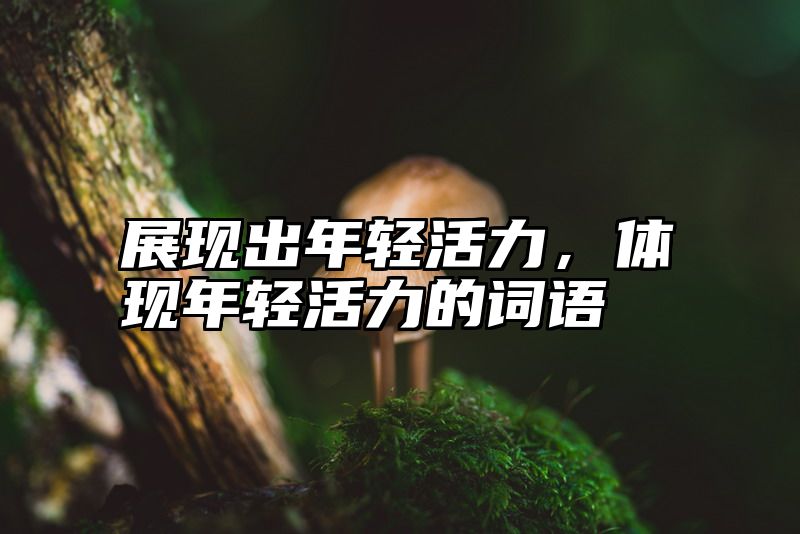 展现出年轻活力，体现年轻活力的词语