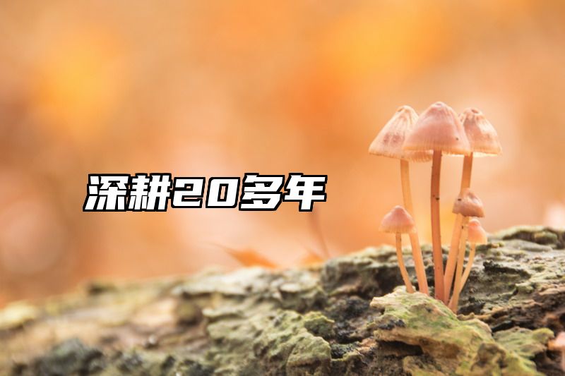深耕20多年