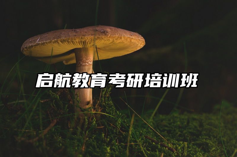 启航教育考研培训班