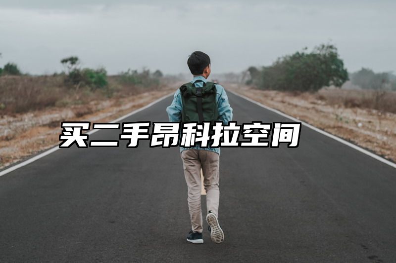买二手昂科拉空间
