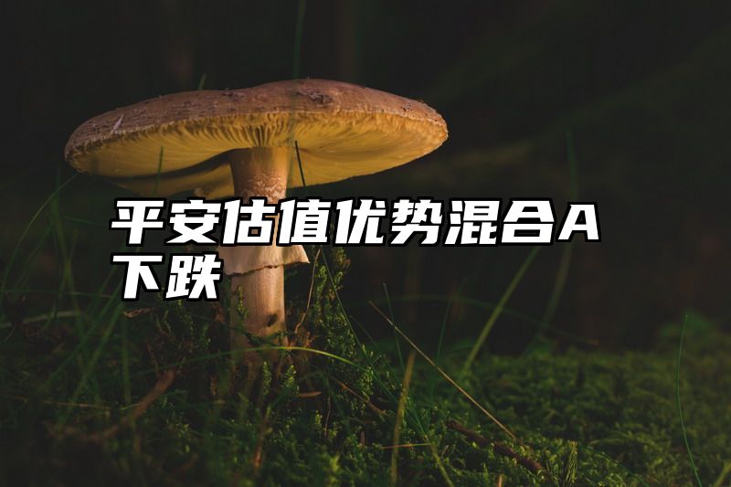 平安估值优势混合A下跌