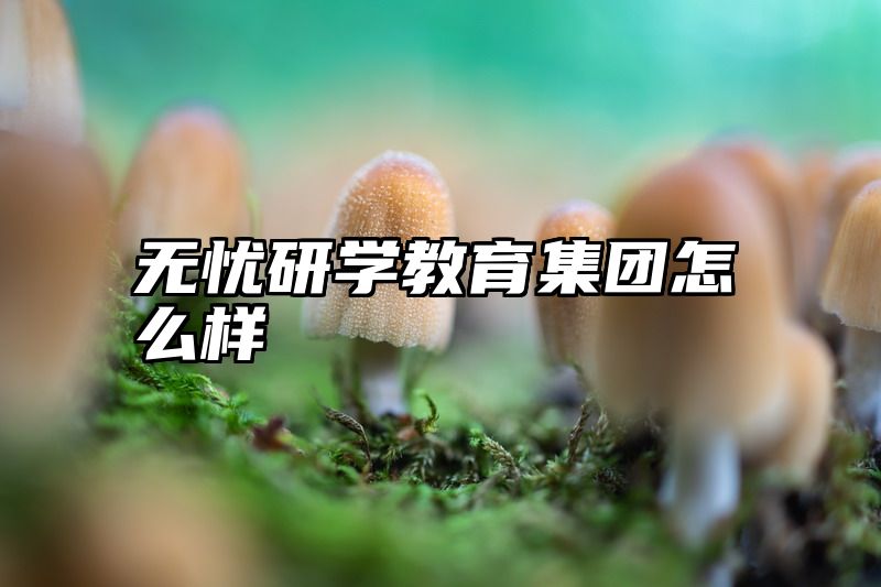 无忧研学教育集团怎么样