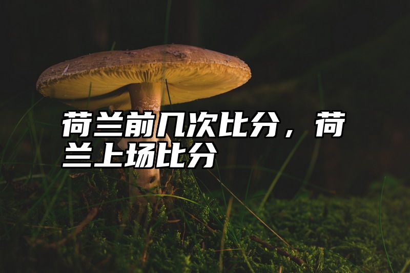 荷兰前几次比分，荷兰上场比分