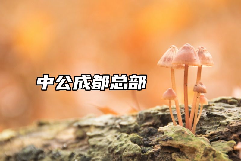 中公成都总部