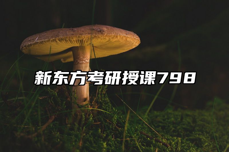 新东方考研授课798