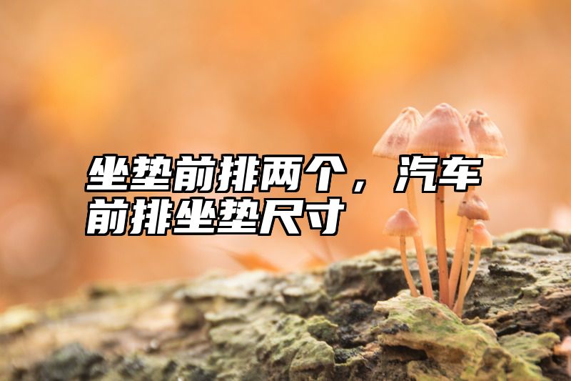 坐垫前排两个，汽车前排坐垫尺寸
