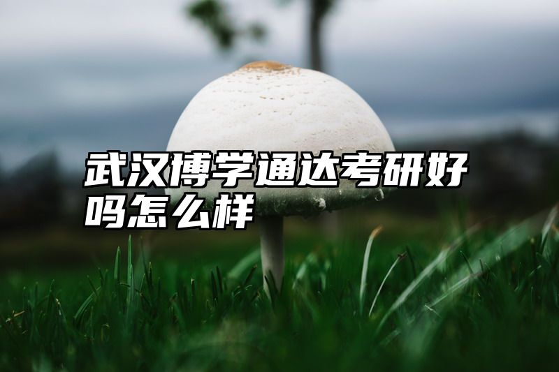 武汉博学通达考研好吗怎么样