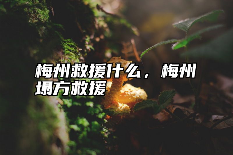 梅州救援什么，梅州塌方救援