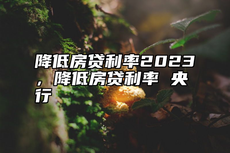 降低房贷利率2023，降低房贷利率 央行