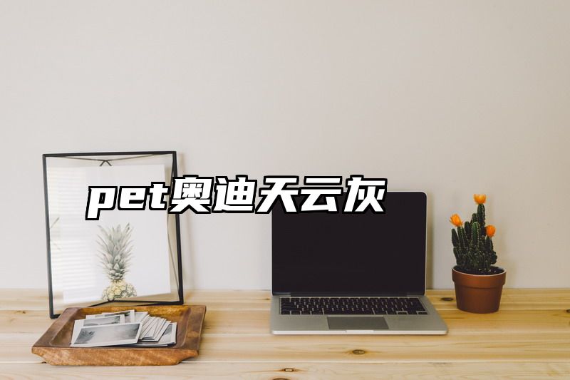 pet奥迪天云灰