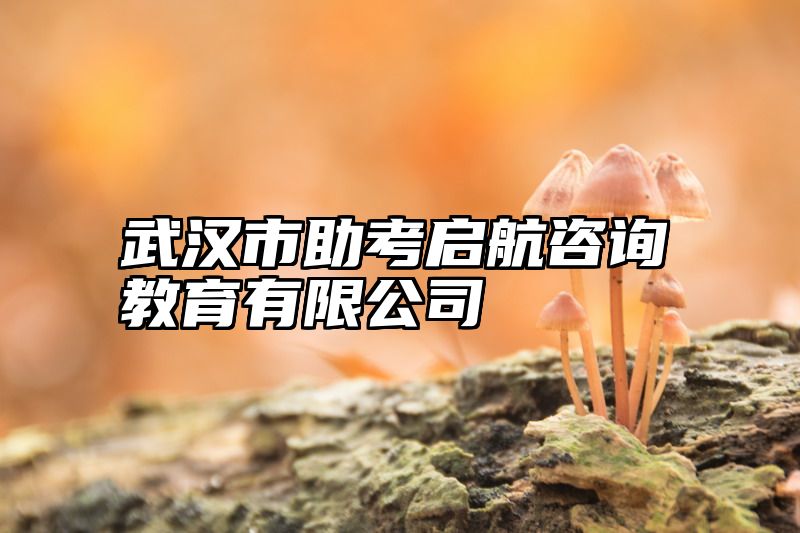 武汉市助考启航咨询教育有限公司