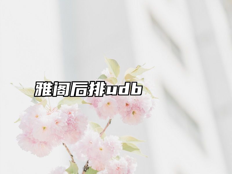 雅阁后排udb
