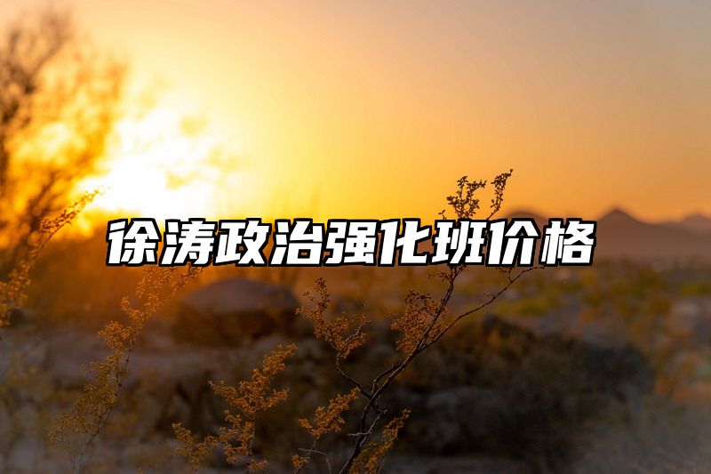徐涛政治强化班价格