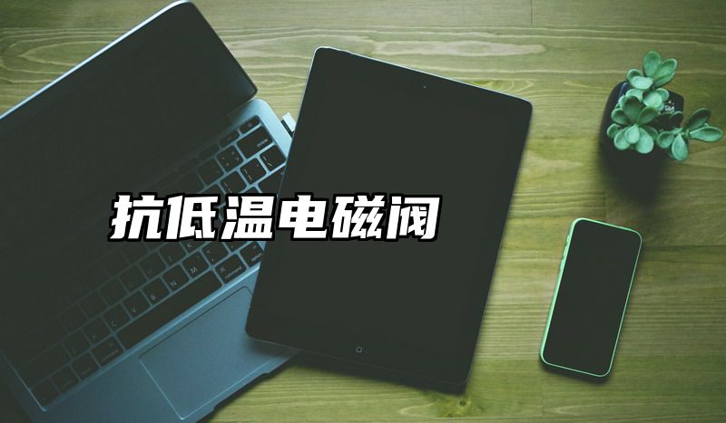 点击查看《抗低温电磁阀》全文
