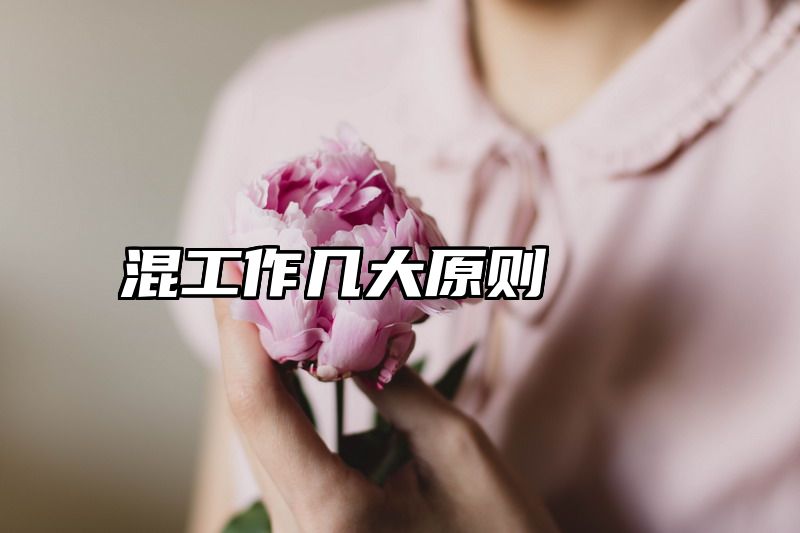 混工作几大原则