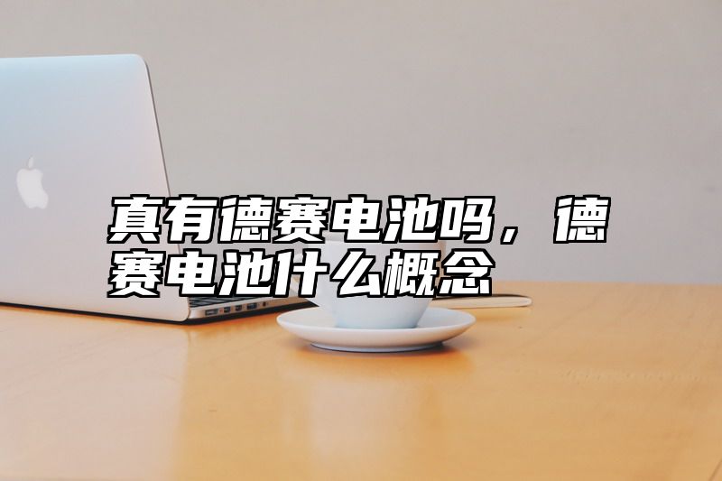 真有德赛电池吗，德赛电池什么概念