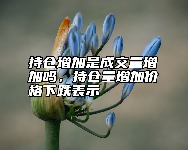 持仓增加是成交量增加吗，持仓量增加价格下跌表示