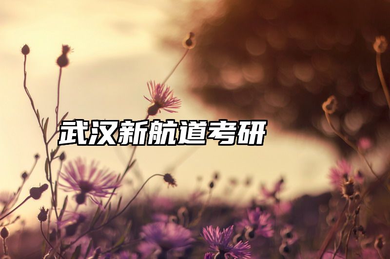 武汉新航道考研