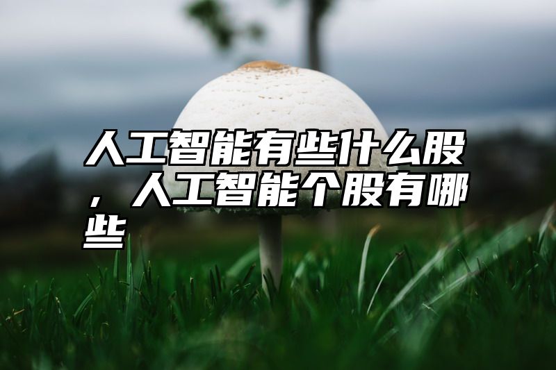 人工智能有些什么股，人工智能个股有哪些