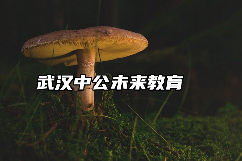 武汉中公未来教育