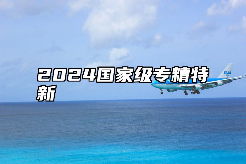 2024国家级专精特新