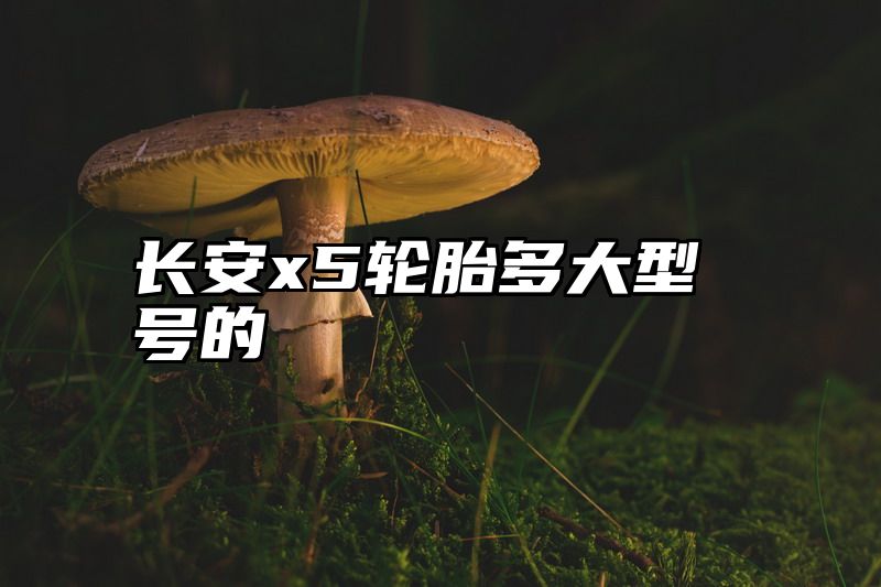 长安x5轮胎多大型号的