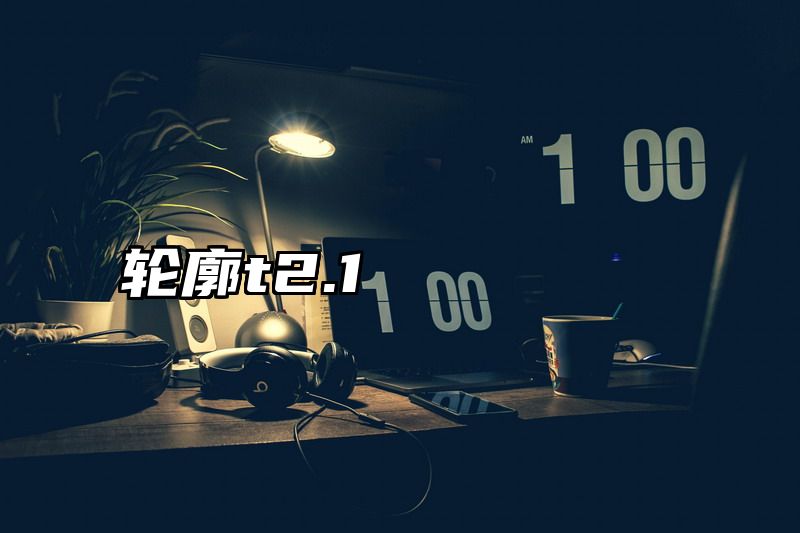 轮廓t2.1