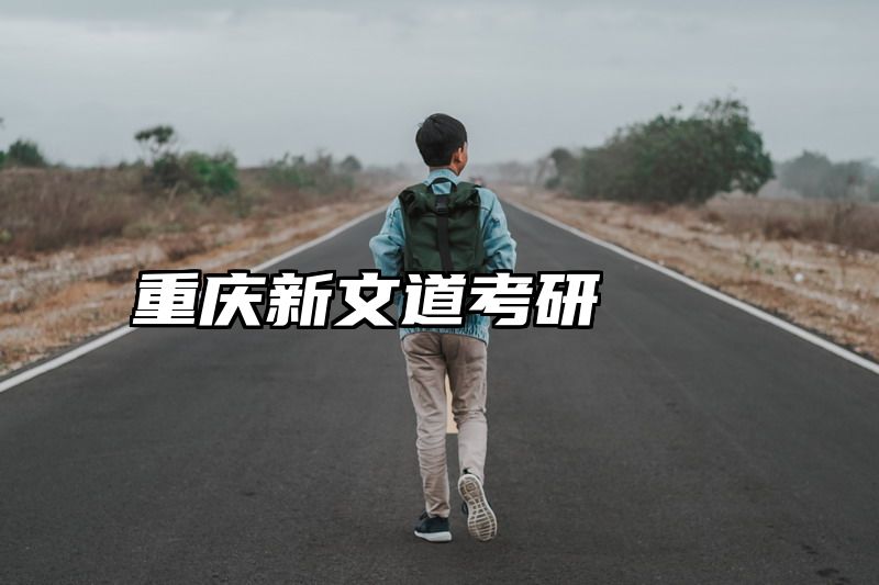 重庆新文道考研