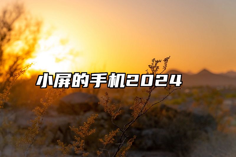 小屏的手机2024