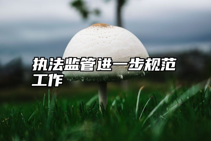 执法监管进一步规范工作