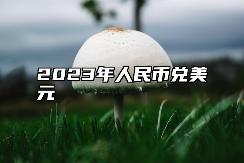 2023年人民币兑美元