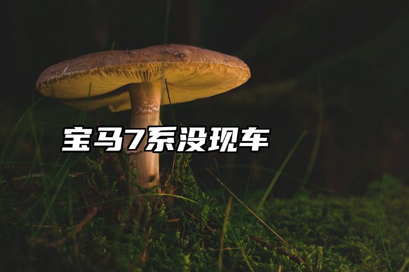 宝马7系没现车