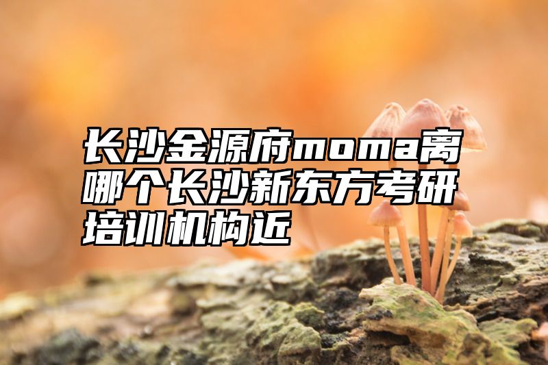 长沙金源府moma离哪个长沙新东方考研培训机构近
