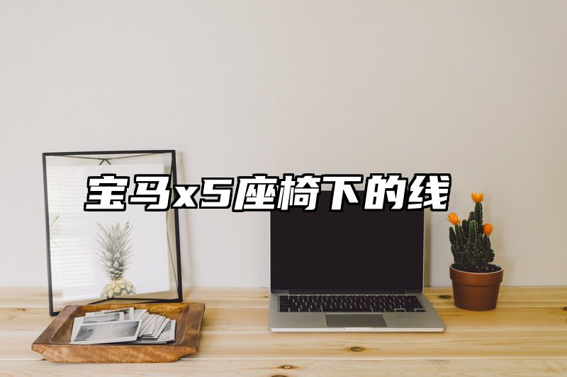 宝马x5座椅下的线