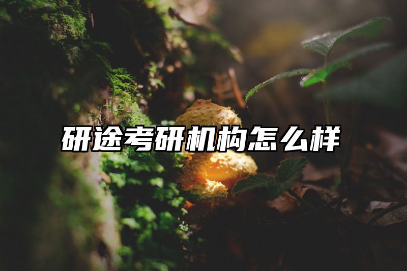 研途考研机构怎么样