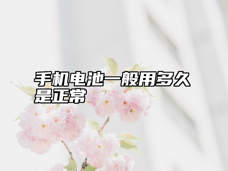 手机电池一般用多久是正常