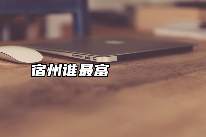 宿州谁最富