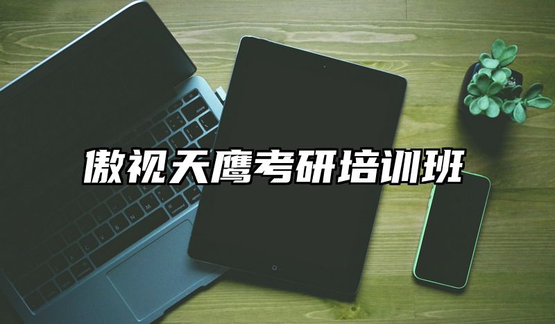 傲视天鹰考研培训班
