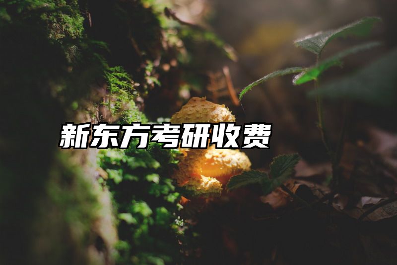 新东方考研收费