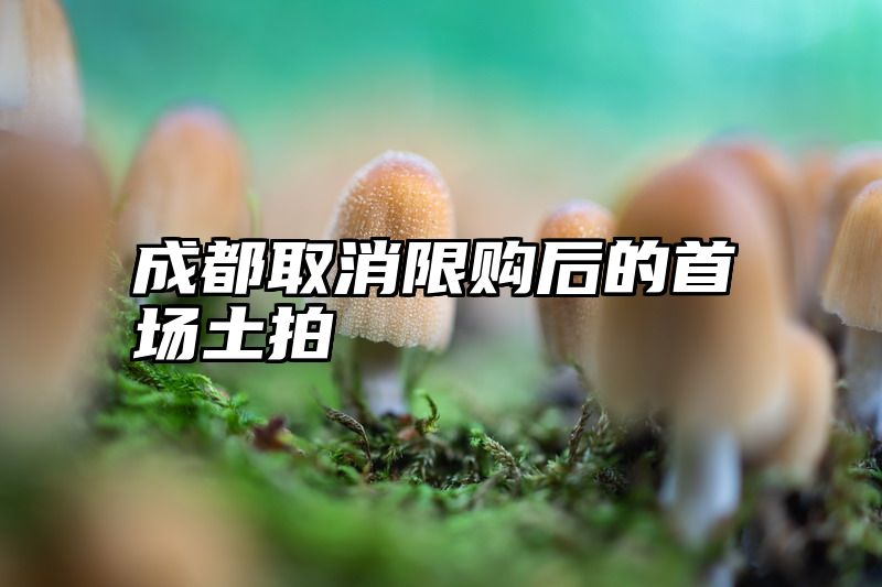 成都取消限购后的首场土拍