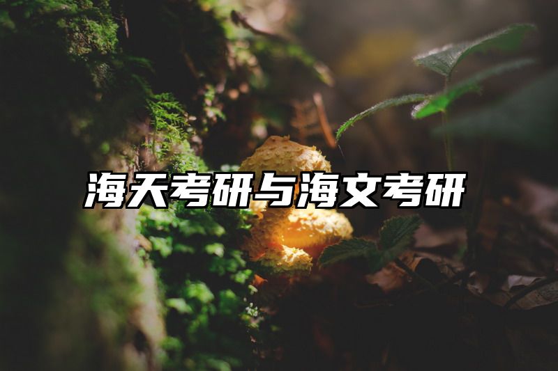 海天考研与海文考研