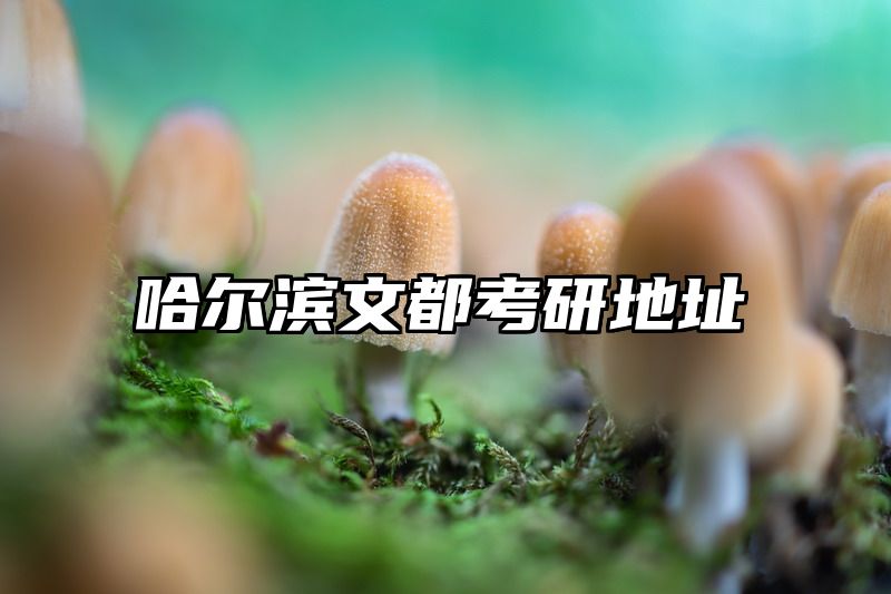 哈尔滨文都考研地址