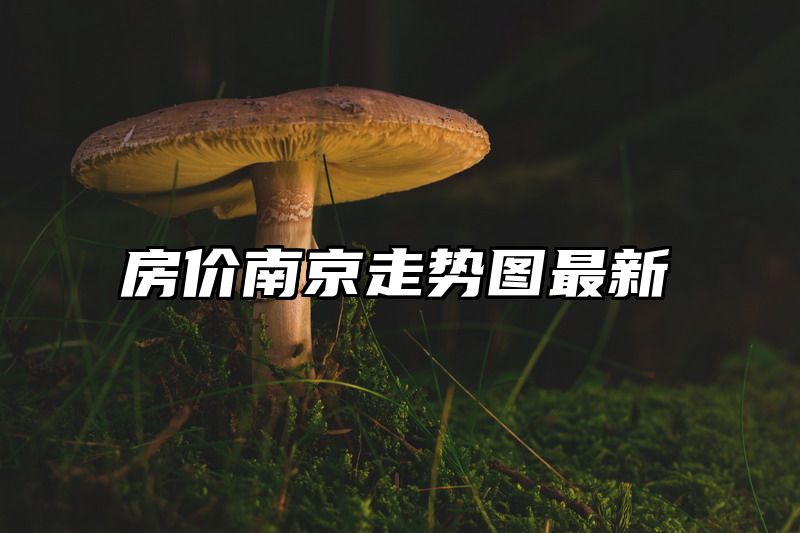 房价南京走势图最新