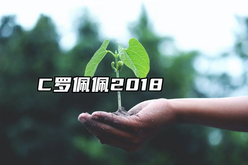 C罗佩佩2018