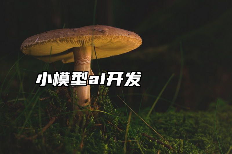小模型ai开发
