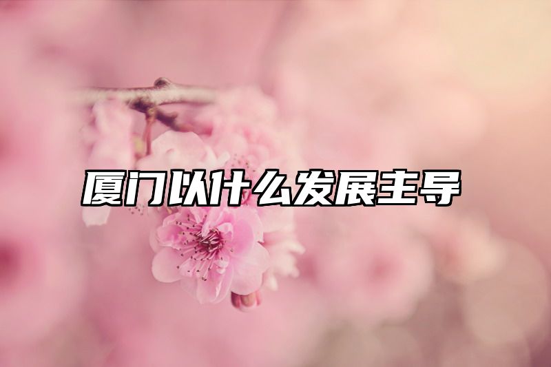厦门以什么发展主导