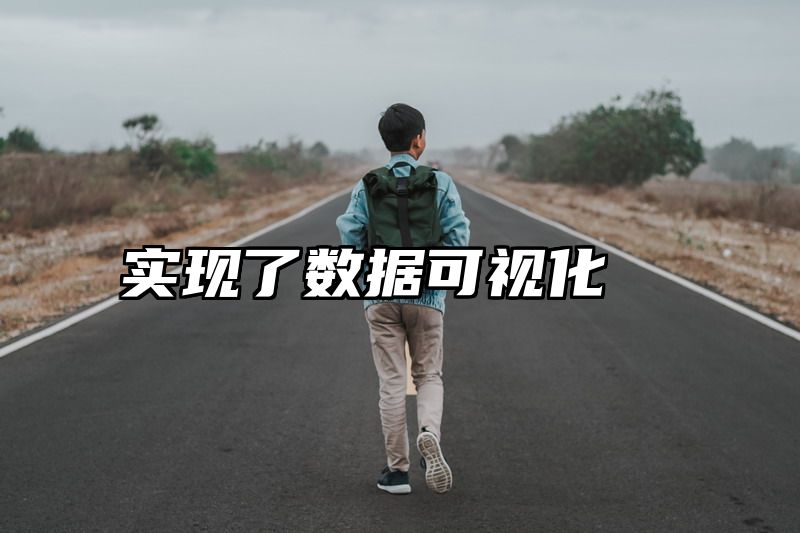 实现了数据可视化