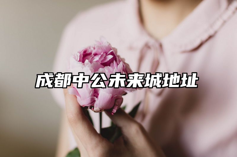 成都中公未来城地址