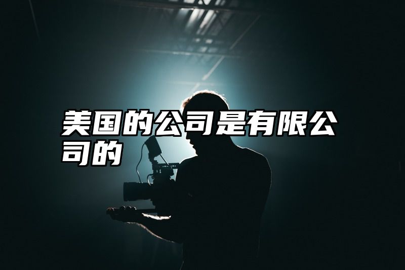 美国的公司是有限公司的