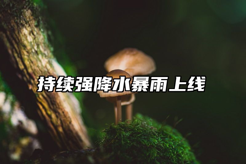 持续强降水暴雨上线